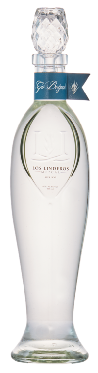 STILL STRENGTH BLANCO